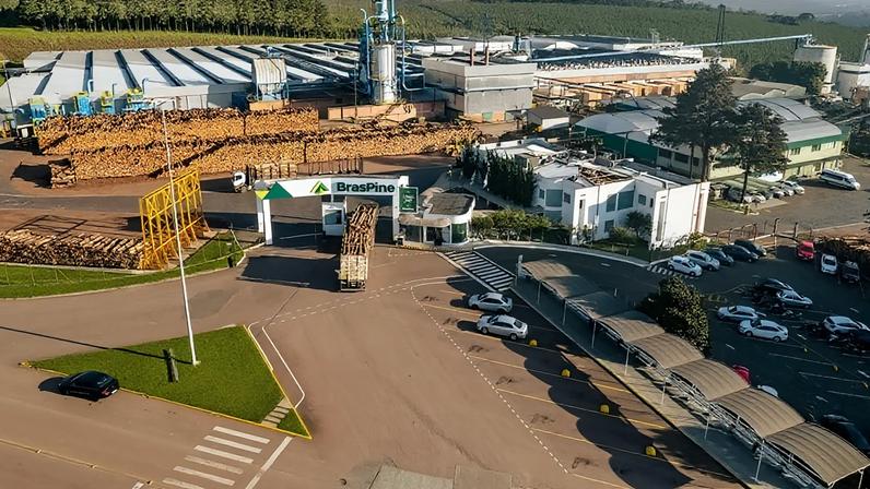 BrasPine Investirá US$ 250 Milhões no Uruguai, sua Primeira Planta Florestal Fora do Brasil