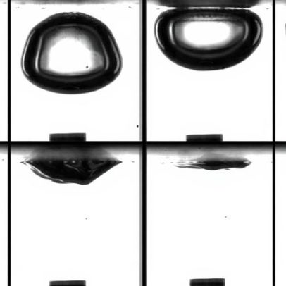 Aborda o problema da bolha onerosa na indústria