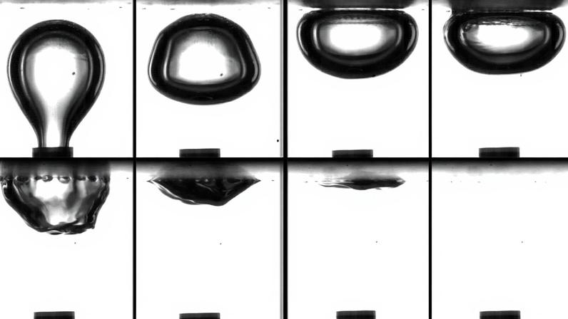 In a collage of video stills, a bubble hits the surface membrane and then is destroyed in about 8 milliseconds.
