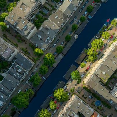 Mais árvores onde são necessárias