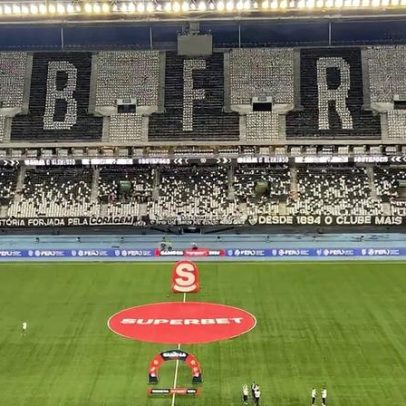 Ex-capitão da seleção ameniza críticas ao campo sintético do Botafogo