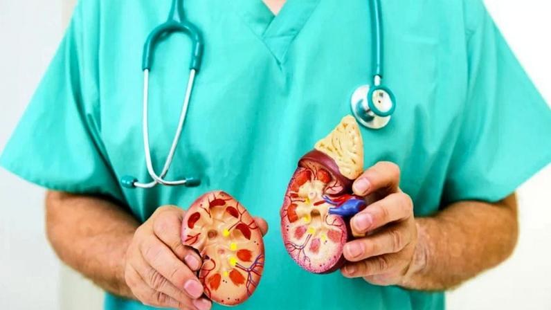 Mais diagnóstico, menos mortes: o acesso ao cuidado faz toda a diferença no câncer de rim