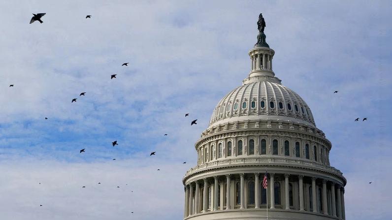 Birds fly past the U.S. Capitol building dome in Washington, D.C., U.S., January 4, 2026. REUTERS/Elizabeth Frantz/File Photo