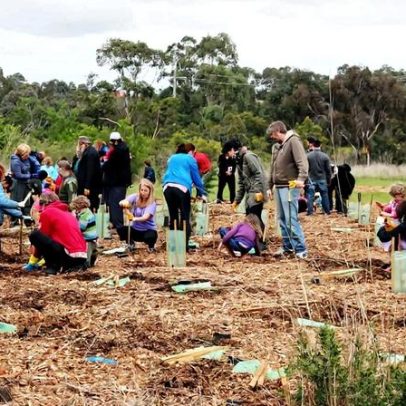 Restauração florestal associada a aumento temporário de zoonoses