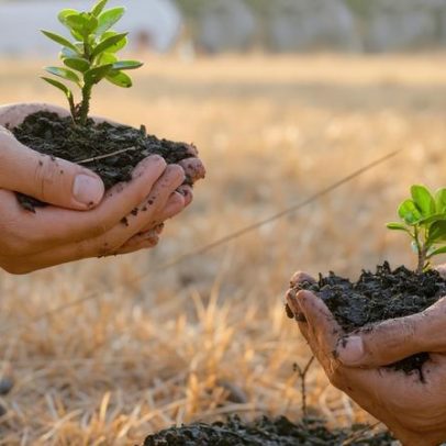 Cristãos lideram esforços pela sustentabilidade