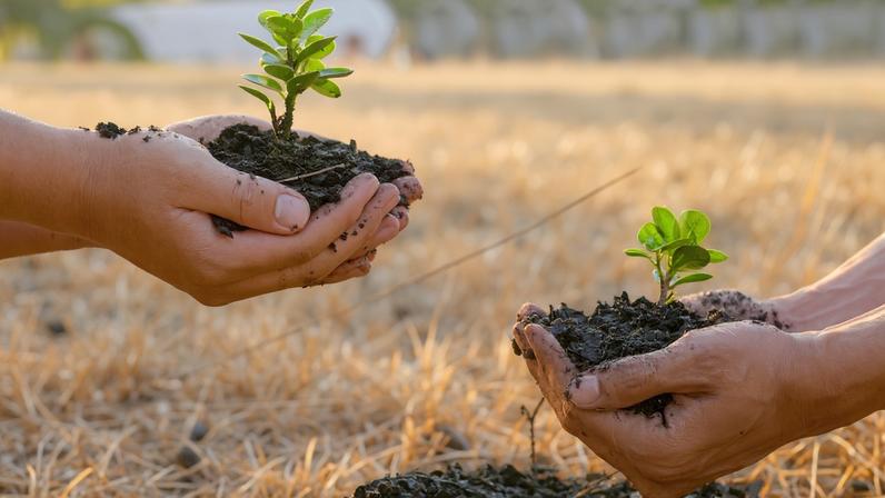 Cristãos lideram esforços pela sustentabilidade