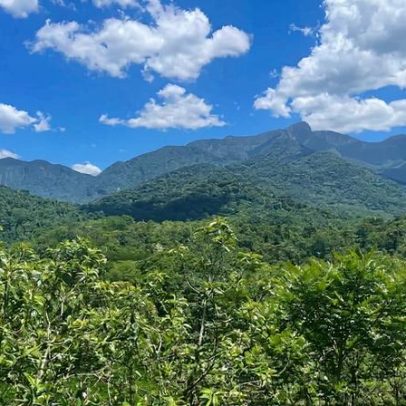 Terras indígenas da Mata Atlântica registram avanços na restauração