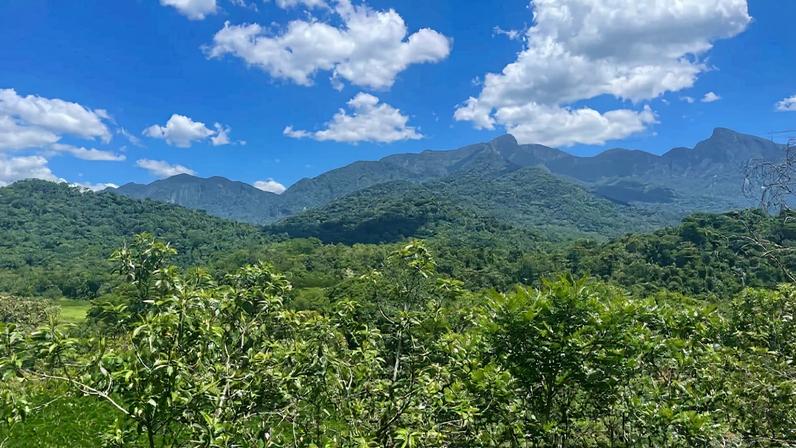 Guapiaçu River Basin forest.