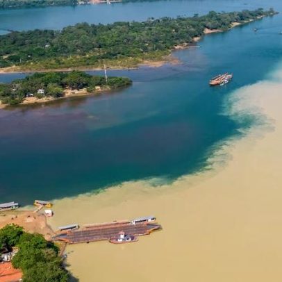 Demanda do agro por hidrovias no Norte atrai fabricantes de motores