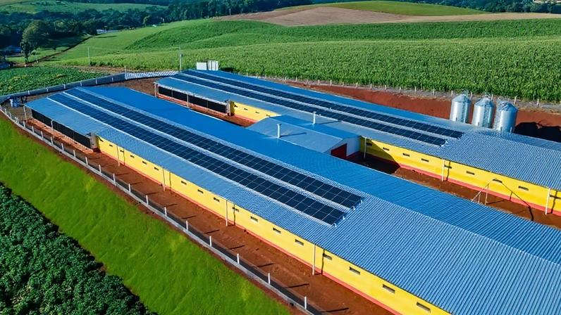 MBRF aporta R$ 300 milhões em FIDC para aves e suínos