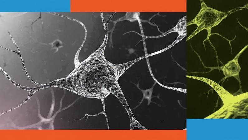 Imagem hiper ampliada de uma rede de neurônios.