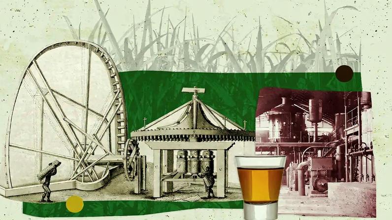 Cachaça impulsionou a primeira revolta brasileira, aponta pesquisa