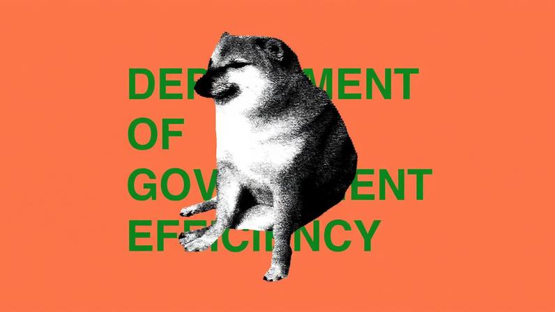 FCC é acusada de ocultar informações sobre DOGE de má-fé