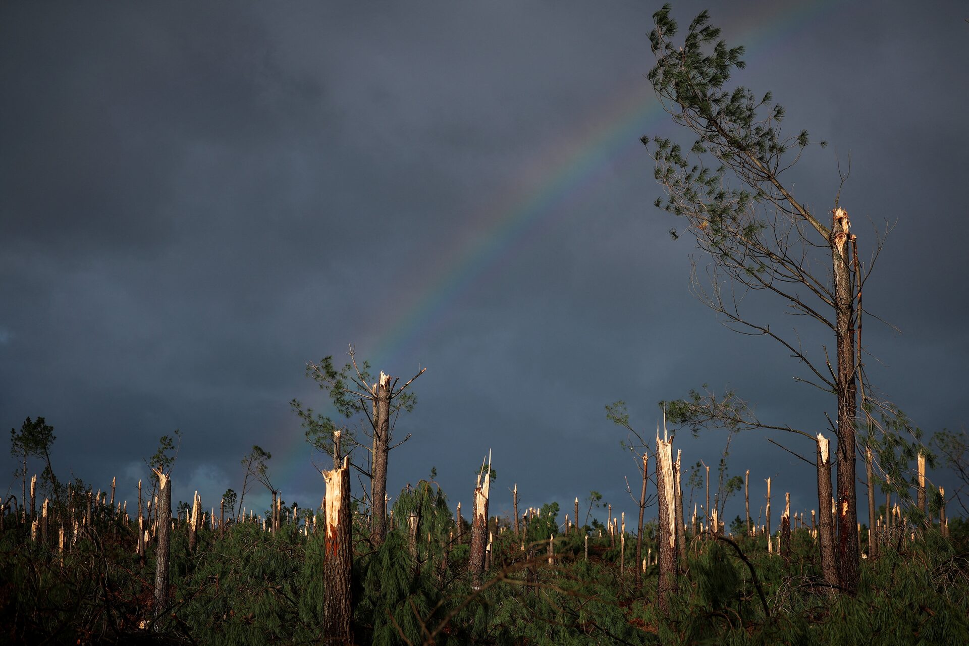 Aftermath of storm Kristin in Portugal