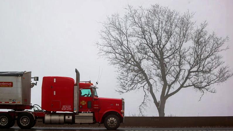 Decisão tarifária reduz poder de Trump, não encerra incertezas para parceiros