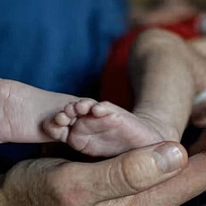 Ministério Público pede bloqueio de sites de 13 agências de barriga de aluguel