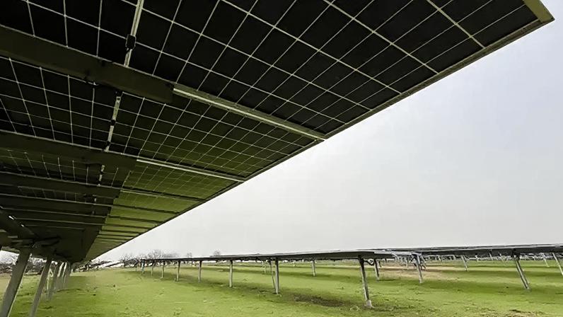 Cancelamento de planos de fazenda solar em Jersey é bem recebido