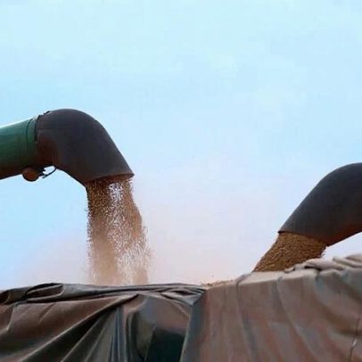 Coamo diz que vendas de soja estão mais lentas neste ano