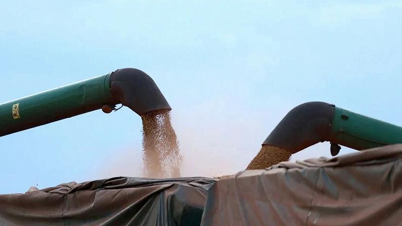 Coamo diz que vendas de soja estão mais lentas neste ano