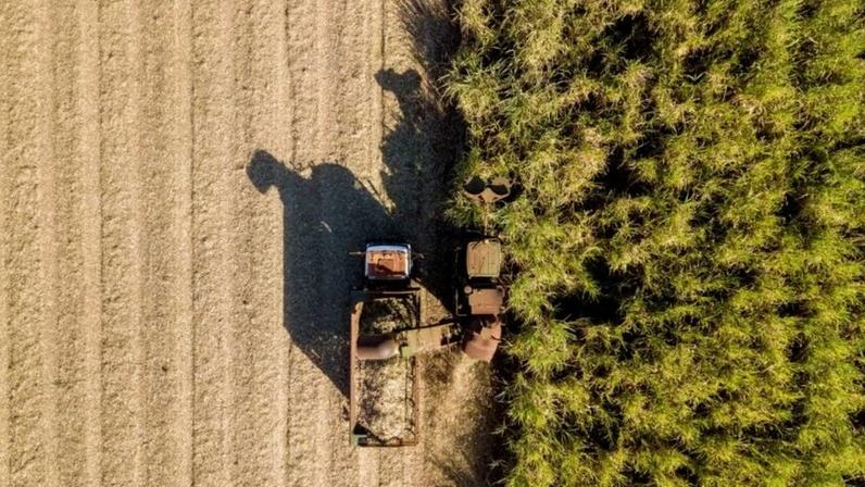 Jalles Machado fecha trimestre com lucro após reverter prejuízo