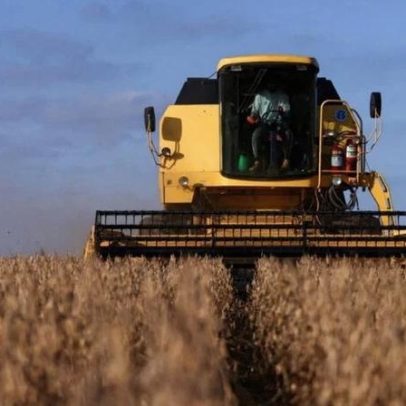 Soja no Paraná alcança 14% da área com atraso histórico