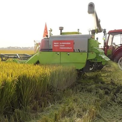 China amplia diversificação e tecnologia para garantir segurança alimentar