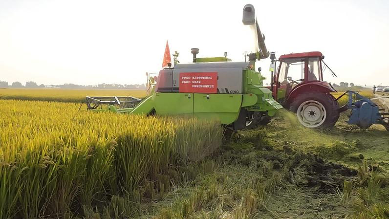 China amplia diversificação e tecnologia para garantir segurança alimentar