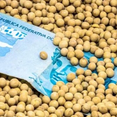 Cooperativas Avançam no Crédito Rural Apesar de Juros Altos