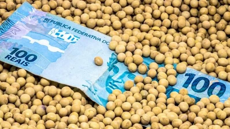 Nota de dinheiro no meio da soja