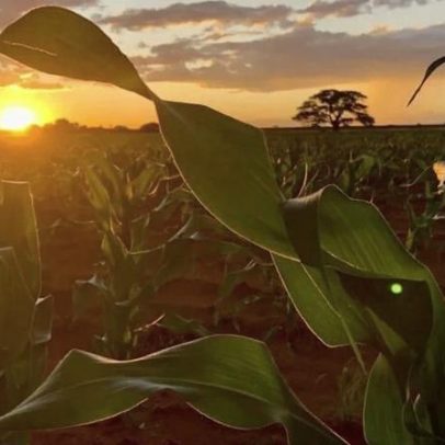 Eco Invest amplia alcance com R$ 128 bilhões, beneficia o agronegócio e mira 4º leilão