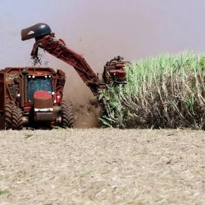 Brasil prevê aumento na produção de etanol em 2026