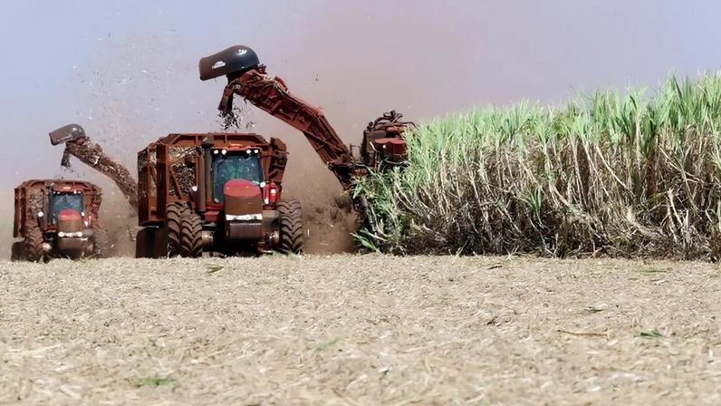 Brasil prevê aumento na produção de etanol em 2026