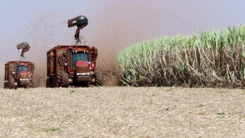 São Martinho tem lucro líquido de R$ 424,1 mi no 3º tri da safra 2025/26