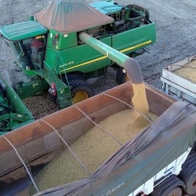 ANEC reduz previsão de exportação de soja do Brasil para fevereiro