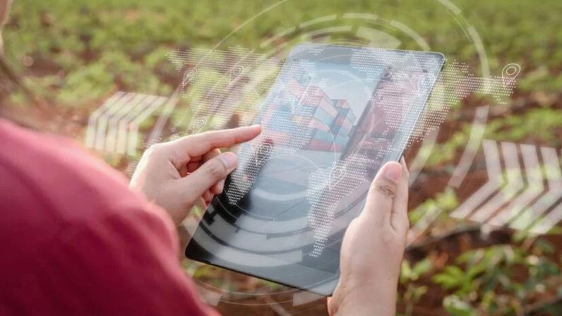 CEOs do agronegócio utilizam IA conforme PwC