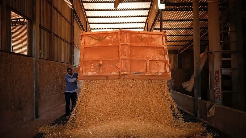 REUTERS Grãos em silo em Brasília