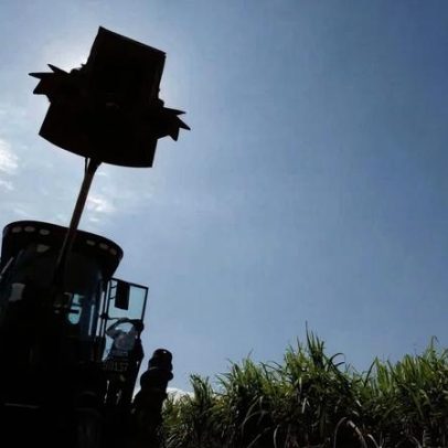 Produção de açúcar no Centro-Sul deve atingir 40,9 milhões de toneladas em 2026/27