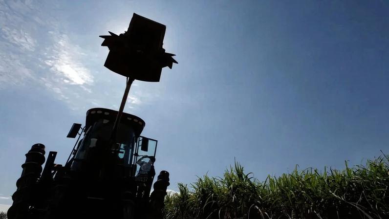 Produção de açúcar no Centro-Sul deve atingir 40,9 milhões de toneladas em 2026/27