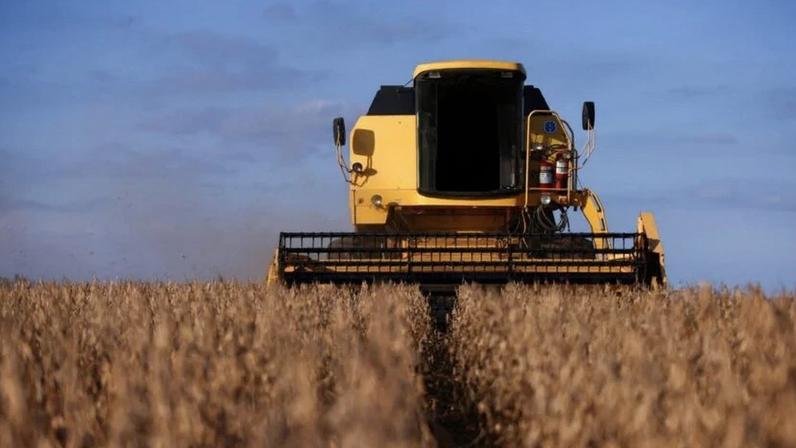 Safra de soja no RS reduz produção com cortes
