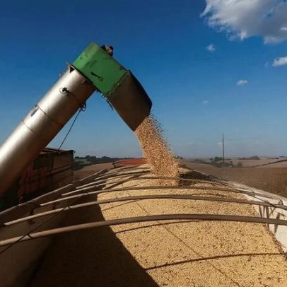 Colheita de soja atinge 30% no Brasil, ritmo mais lento em cinco anos