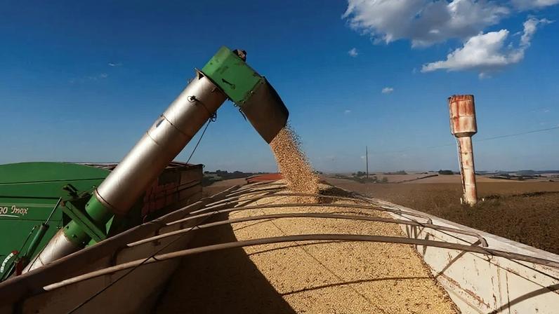 Colheita de soja atinge 30% no Brasil, ritmo mais lento em cinco anos