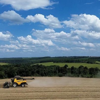 USDA projeta avanço da soja e recuo do milho nos EUA em 2026