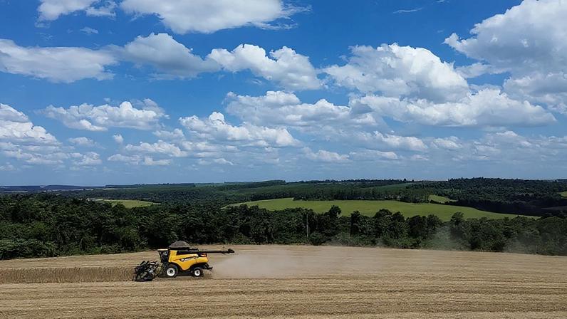 USDA projeta avanço da soja e recuo do milho nos EUA em 2026