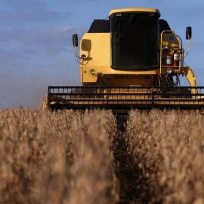 Brasil deve colher recorde de 181 milhões de toneladas de soja, diz Céleres