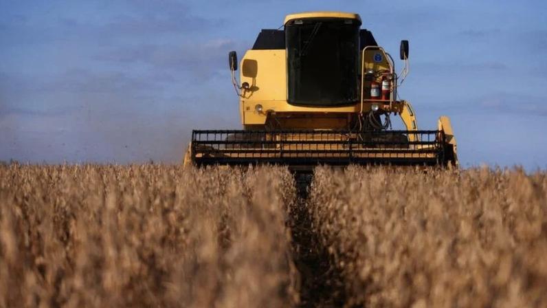 Operação de colheita de soja em plantação no Rio Grande do Sul