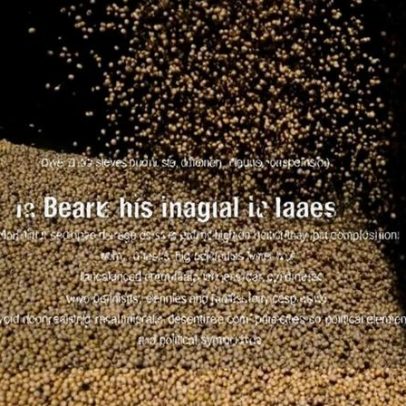 Estiagem no RS ameaça recorde da soja brasileira