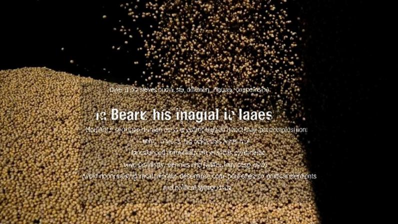 Descarregamento de grãos de soja