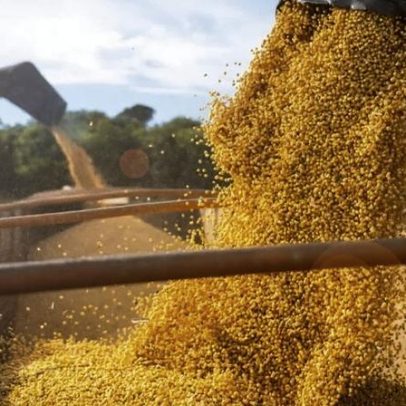 Brasil abre mercado de soja nas Filipinas e carne moída no México