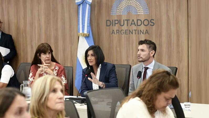 Deputados argentinos debatem o acordo entre Mercosul e União Europeia. Foto: Divulgação