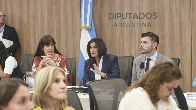 Deputados argentinos debatem o acordo entre Mercosul e União Europeia. Foto: Divulgação